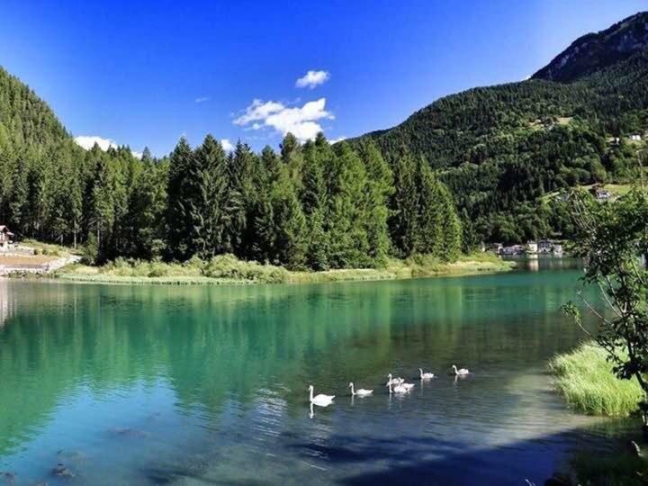 Appartamento Italia Alleghe Exterior foto
